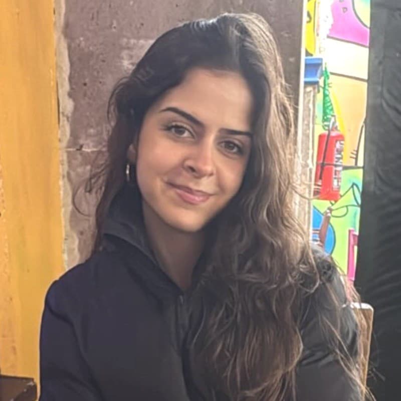 Fozhan Khamsehpour, Account Manager at Pirros
